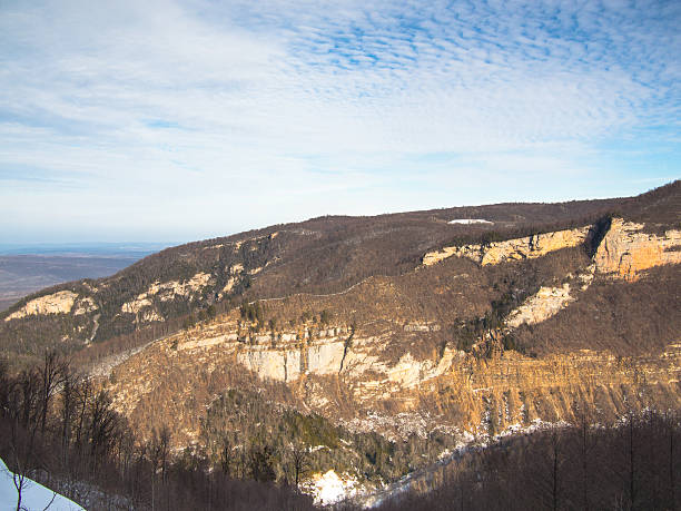 View of the mountain range with trees View of the mountain range with trees on the slope eagle rock stock pictures, royalty-free photos & images