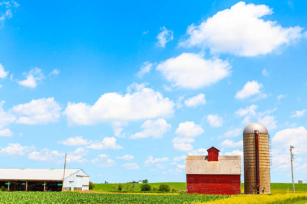 istock American Farmland With Blue Cloudy Sky 467061925