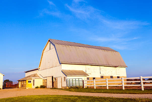 istock American Farmland With Blue Cloudy Sky 467062035