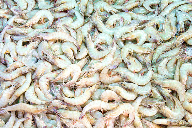 istock white fresh shrimp in local market 467064872