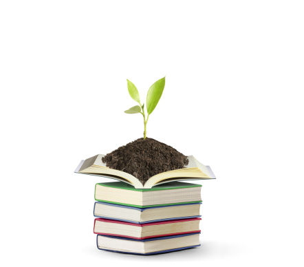 Open books with a plant