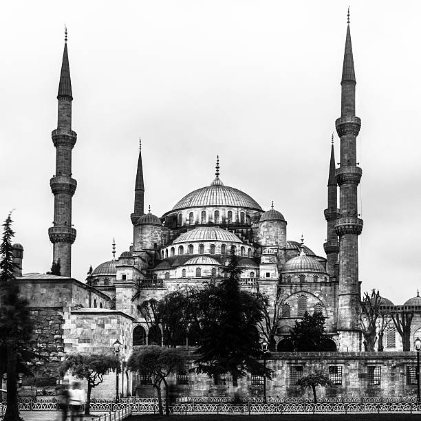 istock Blue ( Sultan Ahmed ) Mosque, Istanbul, Turkey 467071533