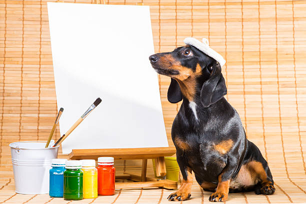 Dachshund in hat of artist near easel with clean canvas stock photo