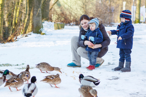 Mother and two little siblings boys feeding ducks in winter