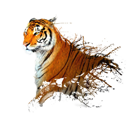 beautiful tiger with splashing effect and ink