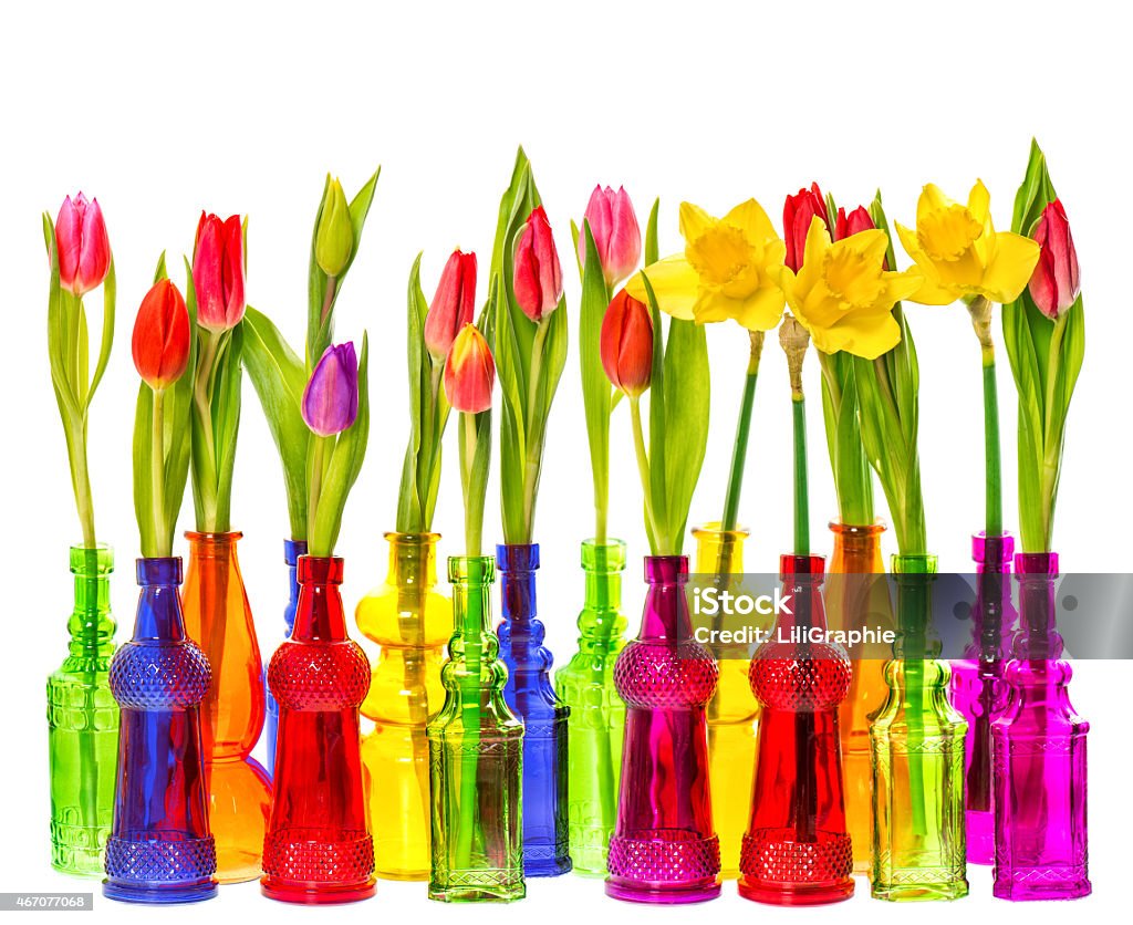 Tulip and narcissus flowers in colorful vases Tulip and narcissus flowers in colorful vases on white background 2015 Stock Photo