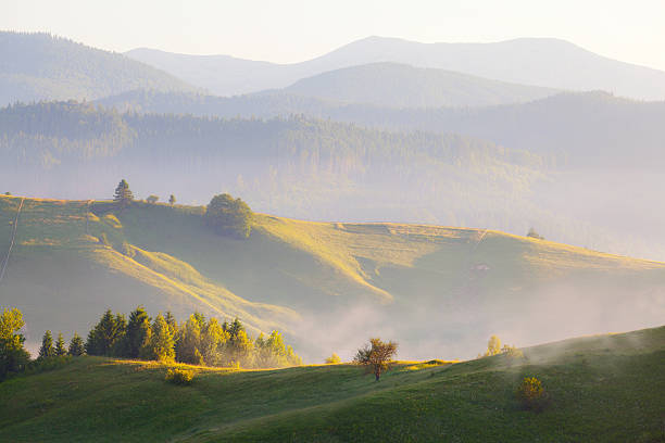 istock foggy landscape in the mountains village 467077467