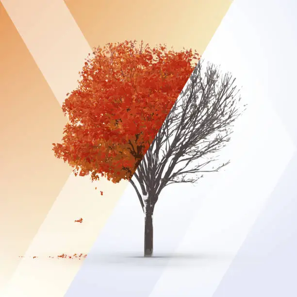 Vector illustration of Changing seasons - Autumn > Winter