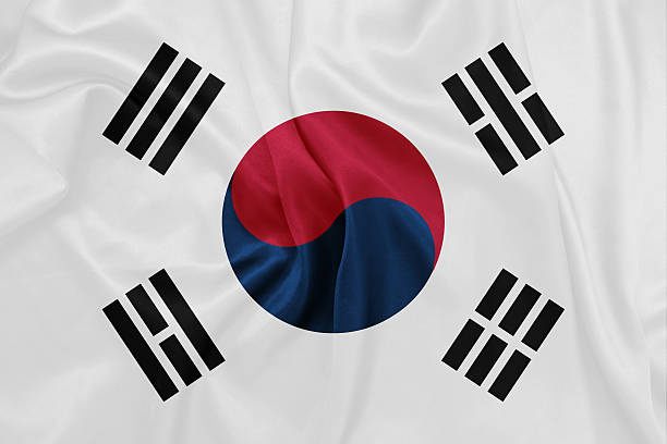 한국-손 흔드는 국기 on 실크 애니메이션 - 대한민국 국기 뉴스 사진 이미지