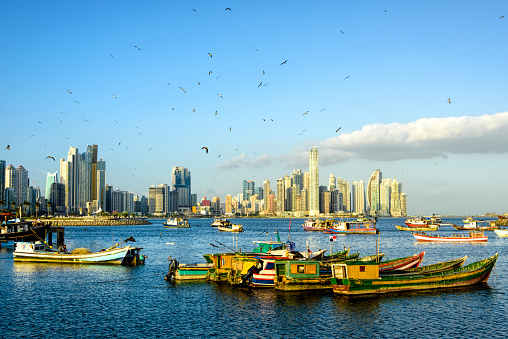 Fishing boats anchored in a harbor with the Panama City skyline in the background and seagulls flying overhead.
