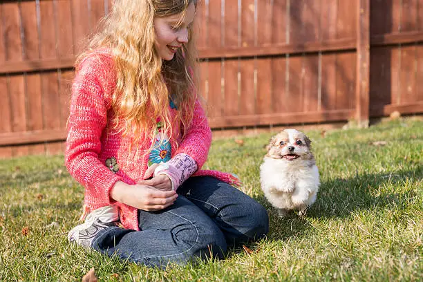 Blond girl with cast on her arm watches her excited puppy dog run through the grass on a sunny spring day