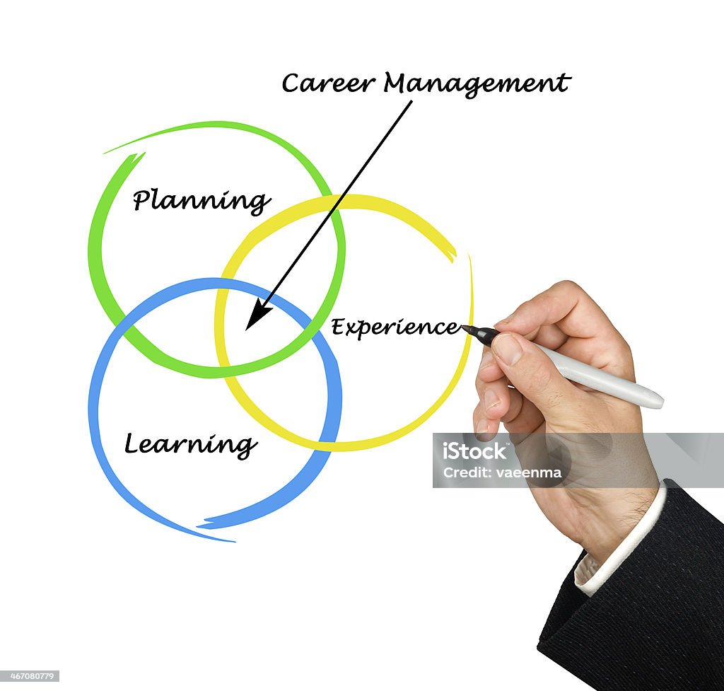 Diagramma di gestione della carriera - Foto stock royalty-free di Abilità