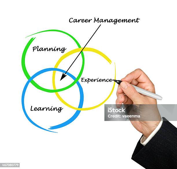 Diagram Of Career Management Stock Photo - Download Image Now - Adult, Adults Only, Advice