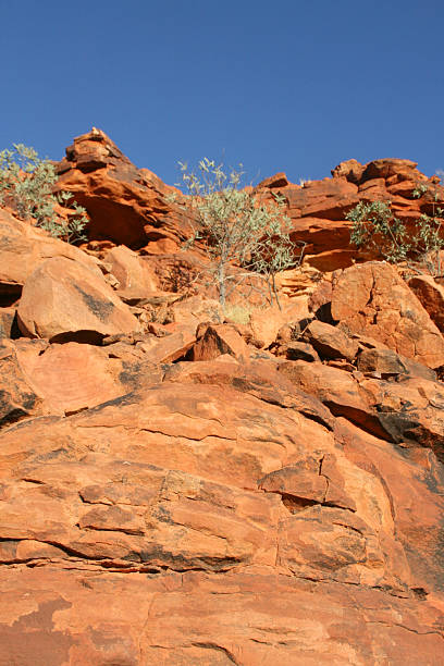 istock Kings canyon national park, Australia 467080939