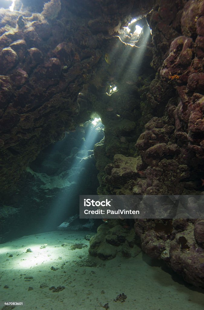 Пещера в Подводный тропический риф - Стоковые фото Красное море роялти-фри