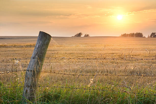 istock meadow and barbed wire fence 467084584