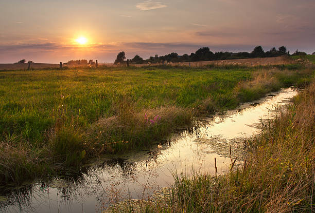 istock Rural field landscape witch small brooke 467084760