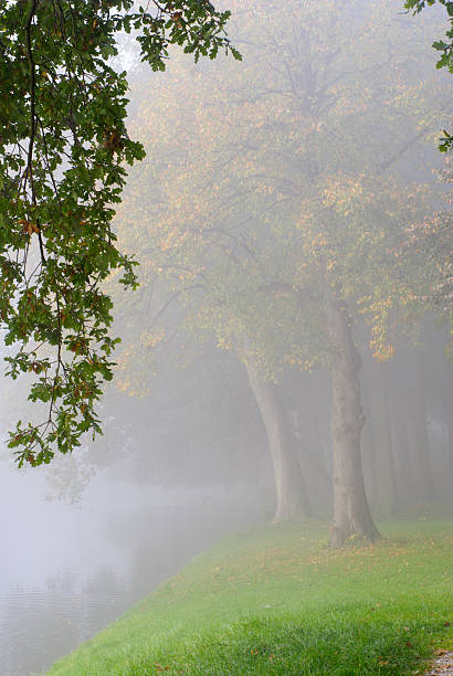 istock Autumn park on a misty morning. 467086435