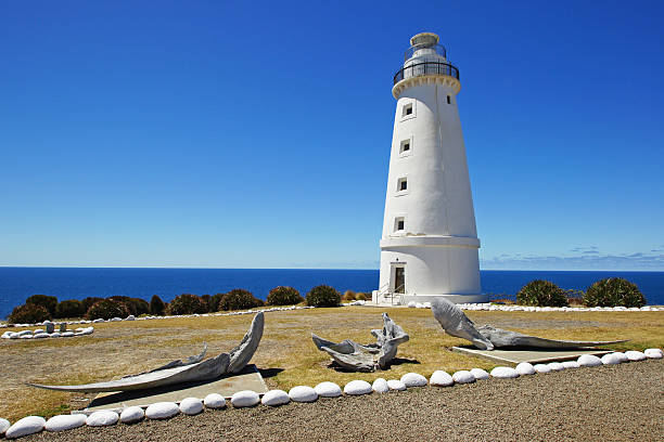 Cape Willoughby, Australia Lighthouse of Cape Willoughby, Kangaroo Island, Australia headland stock pictures, royalty-free photos & images