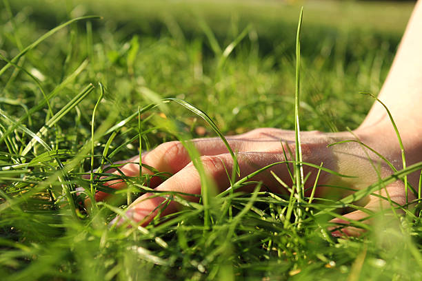 istock Hand and green gras 467089153