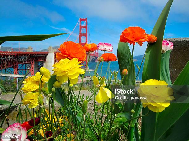 Tulipano Presso Il Golden Gate - Fotografie stock e altre immagini di Acciaio - Acciaio, Acqua, Acqua fluente