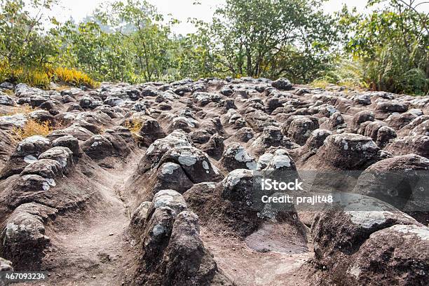 Lichens Stock Photo - Download Image Now - 2015, Backgrounds, Close-up