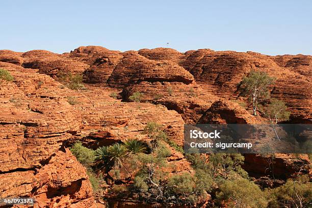 Kings Canyon National Park Australia - Fotografie stock e altre immagini di Affari - Affari, Agente di viaggio, Albero