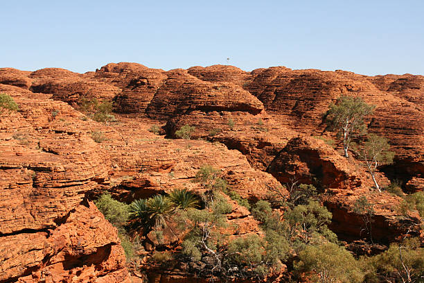 istock Kings canyon national park, Australia 467093373
