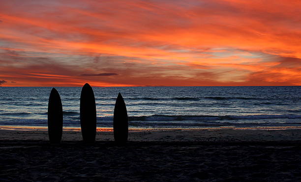 38,500+ Surfboard At Sunset Stock Photos, Pictures & Royalty-Free