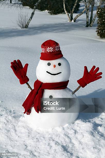 Amusing Snowman Stock Photo - Download Image Now - Anthropomorphic Smiley Face, Backgrounds, Bonnet - Hat