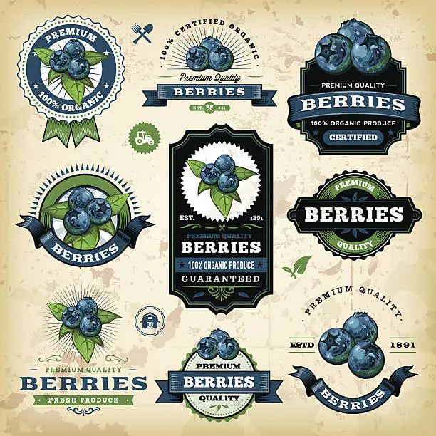 Vector illustration of Vintage Blueberries Labels