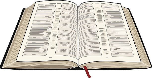 An illustration of an open Bible A vector illustration of an open bible. bible stock illustrations