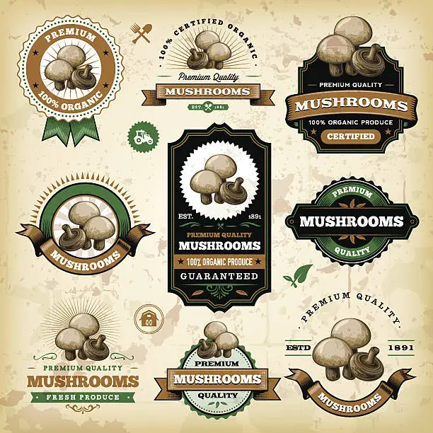 Vector illustration of Vintage Mushroom Labels