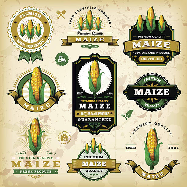 illustrazioni stock, clip art, cartoni animati e icone di tendenza di mais etichette vintage - corn fruit vegetable corn on the cob