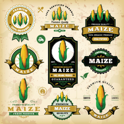 A collection of vintage styled maize/corn labels. EPS 10 file, layered & grouped, with meshes and transparencies (shadows & overall effects only).