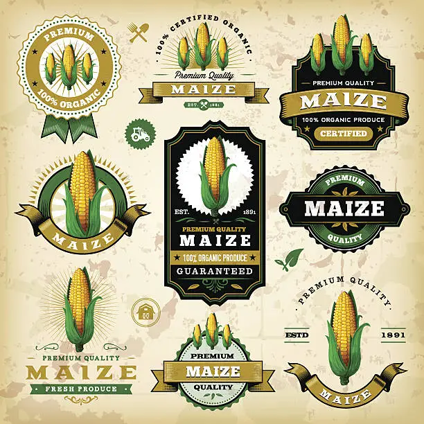 Vector illustration of Vintage Maize Labels