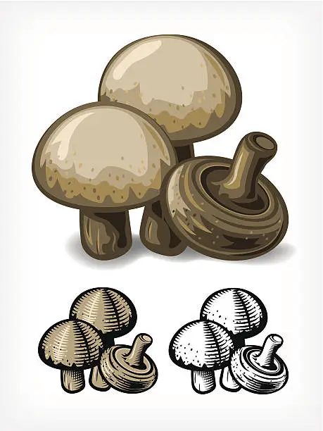 Vector illustration of Vector Mushrooms