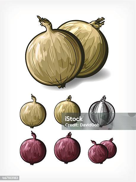 Vetor De Cebola - Arte vetorial de stock e mais imagens de Alimentação Saudável - Alimentação Saudável, Alimento Básico, Amarelo