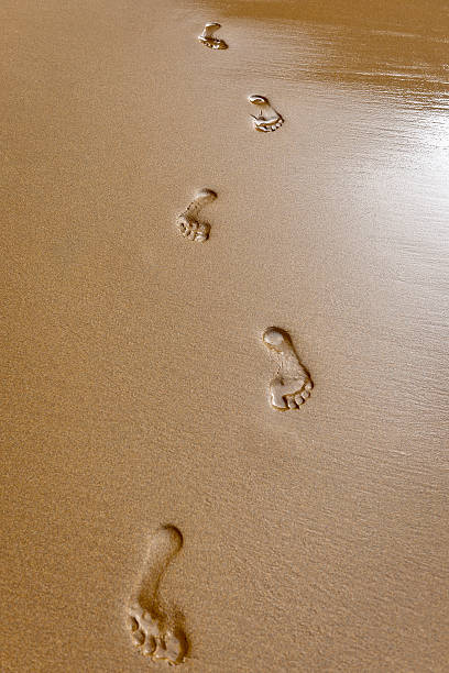 istock Footprints on Sand Moroccan Beach Africa 467103363