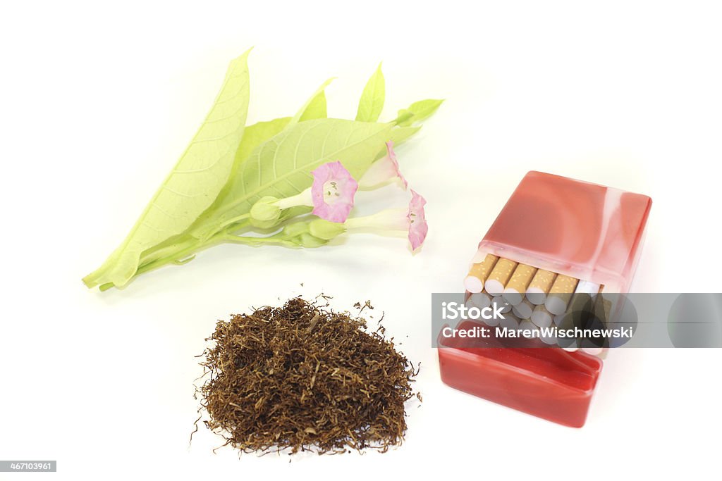 Tabacco e sigarette - Foto stock royalty-free di Agricoltura