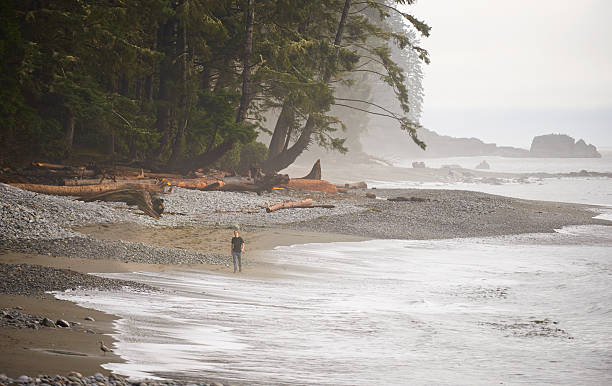 istock Enjoying a walk on the beach 467104294
