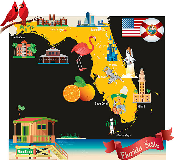 Cartoon map of Florida Cartoon map of Florida clearwater florida stock illustrations