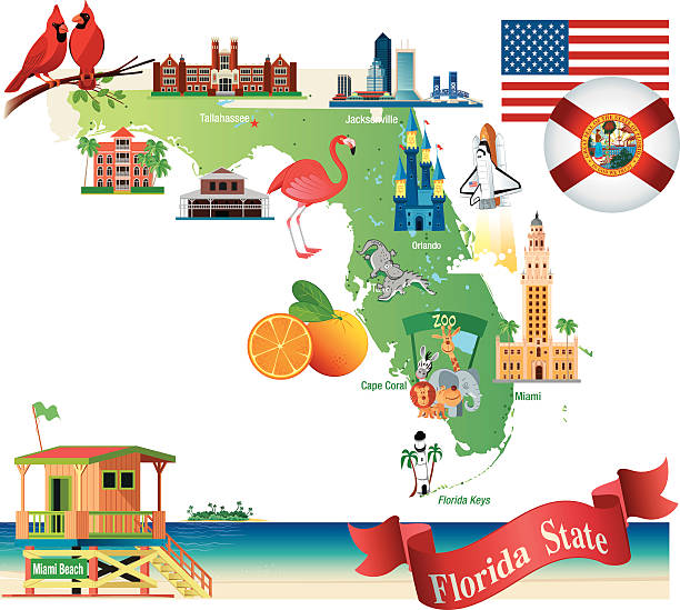 ilustrações de stock, clip art, desenhos animados e ícones de mulher mapa de flórida - florida cartography map florida keys