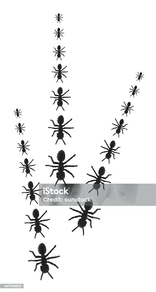 Giocattolo Ants a righe - Foto stock royalty-free di Antenna - Parte del corpo animale
