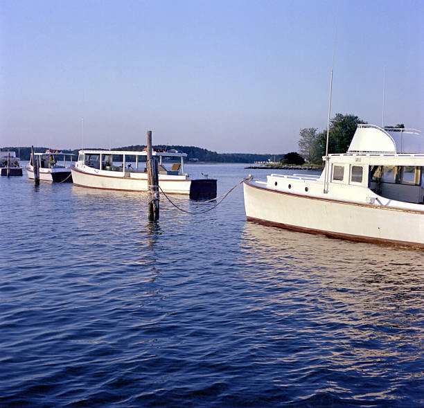 istock Early Morning on the Chesapeake Bay 467108959