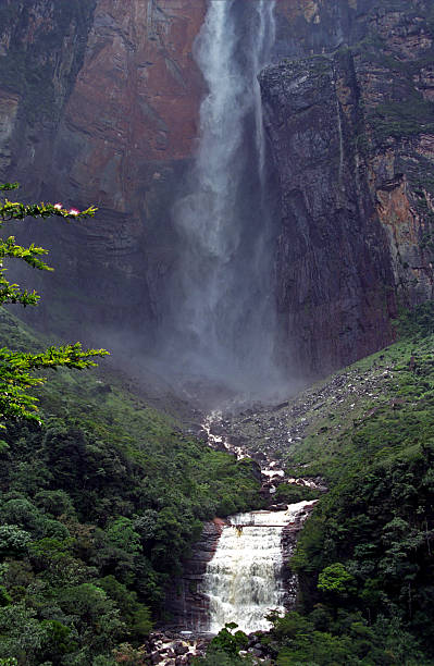 istock Angel Falls, Canaima, Venezuela 467111837