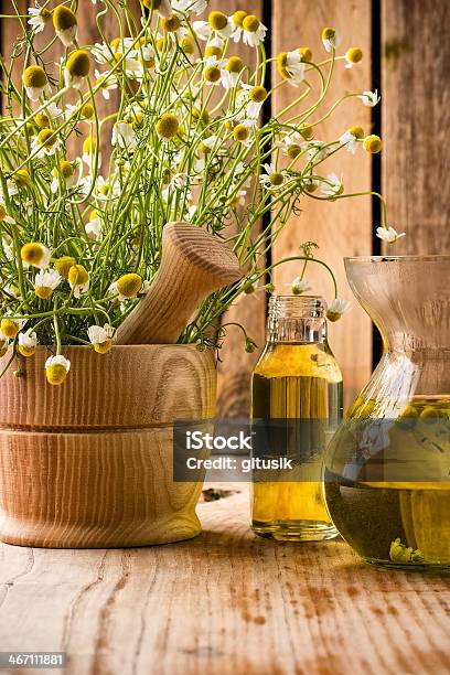 Chamomile Stock Photo - Download Image Now - Botany, Chamomile, Chamomile Plant