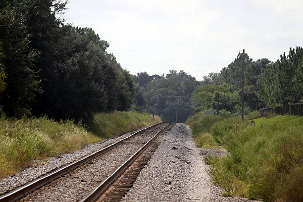 istock Railroad Tracks in the rural country 467112185