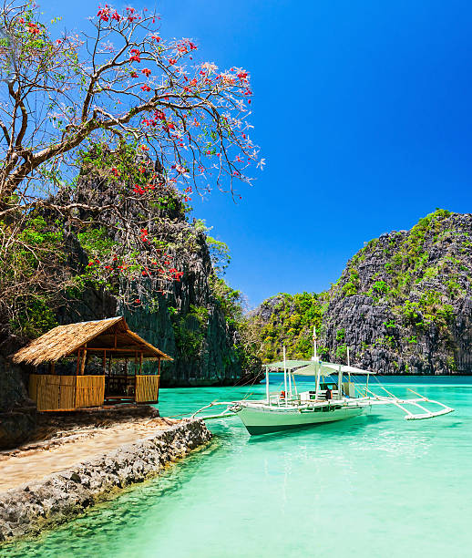 Beauty landscape Filipino boat in the sea, Coron, Philippines boracay photos stock pictures, royalty-free photos & images