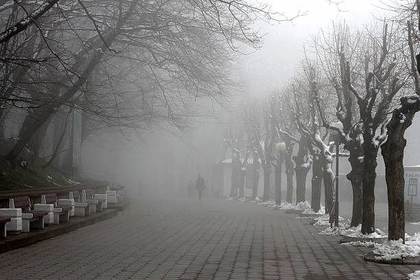 istock People walking by misty road in the park 467118043